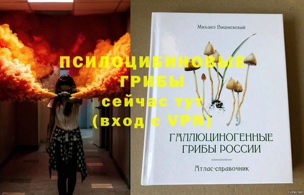 соль ск Балахна