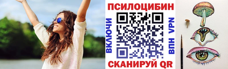 Псилоцибиновые грибы прущие грибы  Ясногорск 